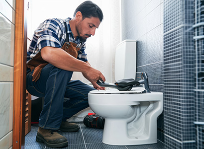 Professional Toilet Repair Service